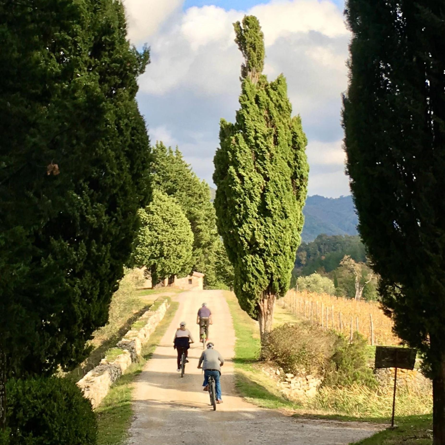 Capannelle Wine Resort Gaiole in Chianti Extérieur photo