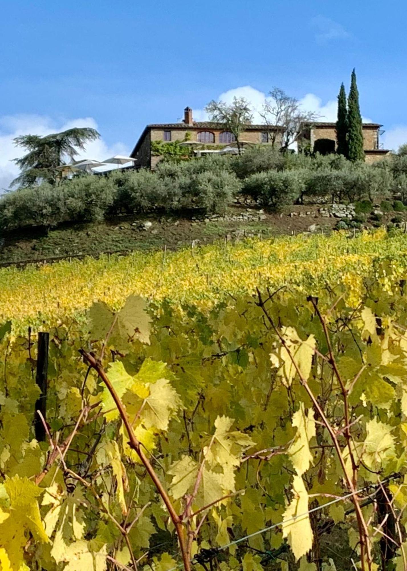 Capannelle Wine Resort Gaiole in Chianti Extérieur photo