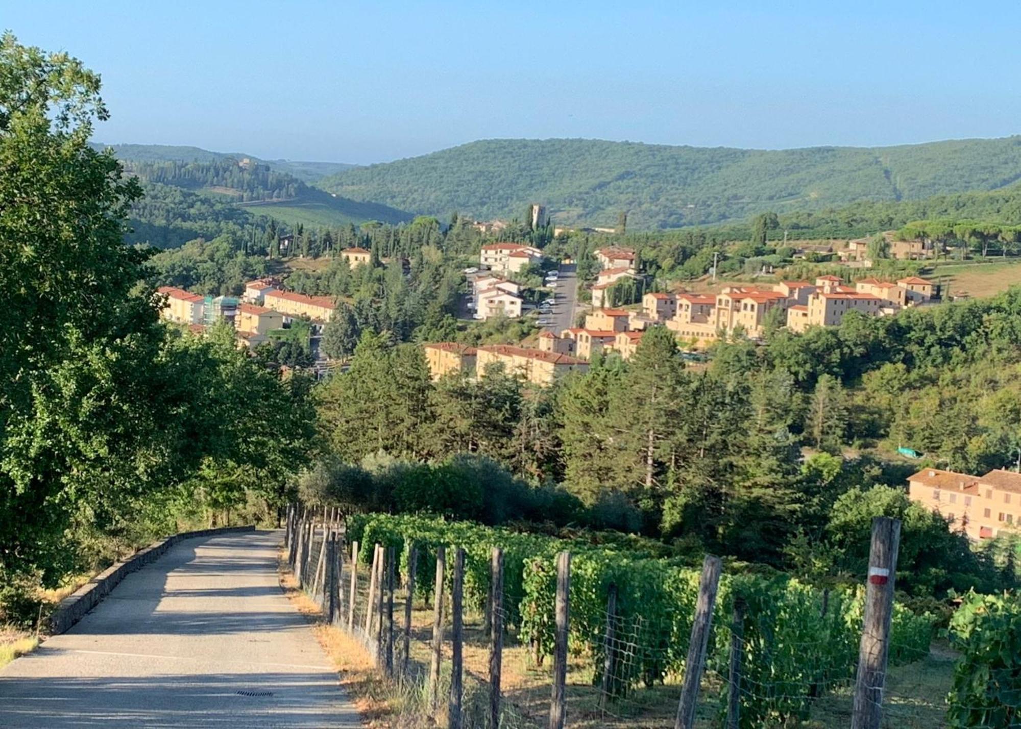 Capannelle Wine Resort Gaiole in Chianti Extérieur photo