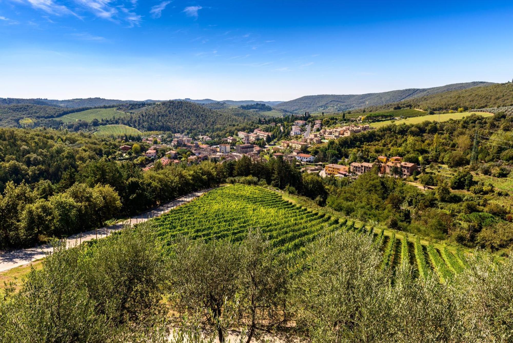 Capannelle Wine Resort Gaiole in Chianti Extérieur photo